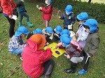 IMG_2193.jpg