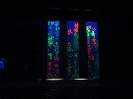 IMG_3956.jpg