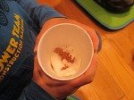 IMG_3967.jpg