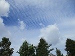 IMG_4420.jpg