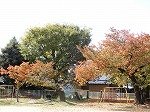 DSCN8093.jpg