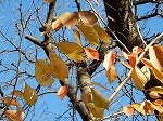 DSCN0087.jpg