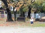 DSCN8704.jpg