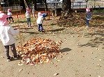 DSCN7986.jpg