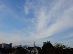 DSCN0250.jpg