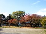 DSCN8426.jpg