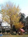 DSCN0251.jpg