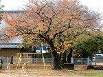 DSCN8722.jpg
