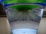 DSCN9805.jpg