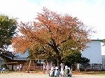DSCN8199.jpg