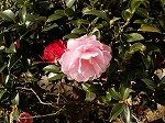 DSCN0237.jpg