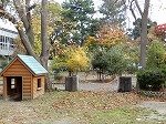 DSCN8546.jpg