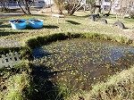 DSCN0086.jpg
