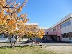 DSCN0129.jpg