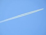 DSCN0146.jpg