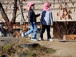 DSCN0172.jpg