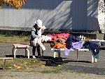 DSCN0180.jpg
