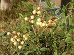 DSCN0239.jpg