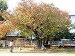 DSCN7798.jpg