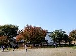 DSCN7844.jpg