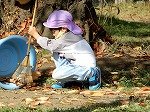 DSCN7884.jpg