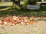 DSCN7894.jpg