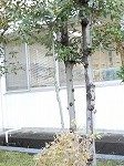 DSCN7919.jpg