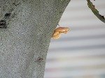 DSCN7922.jpg