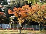 DSCN7929.jpg
