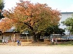 DSCN7937.jpg