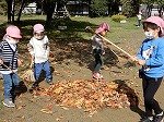 DSCN7958.jpg