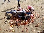 DSCN8042.jpg