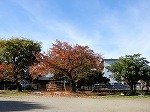 DSCN8138.jpg