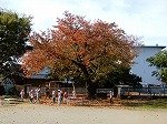 DSCN8194.jpg