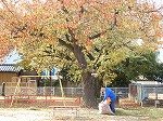 DSCN8213.jpg