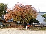 DSCN8214.jpg