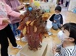 DSCN8271.jpg