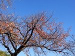 DSCN9236.jpg