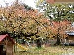DSCN8599.jpg