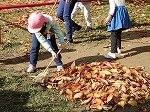 DSCN7997.jpg
