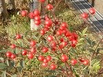 DSCN0238.jpg