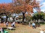 DSCN7943.jpg