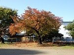 DSCN7932.jpg