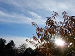 DSCN0242.jpg