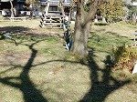 DSCN0109.jpg