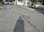 DSCN0290.jpg