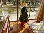 DSCN0337.jpg