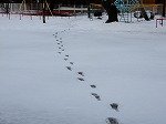 DSCN9975.jpg