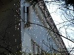 DSCN9928.jpg