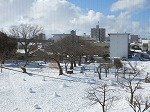 DSCN0180.jpg